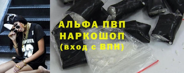 индика Гусиноозёрск