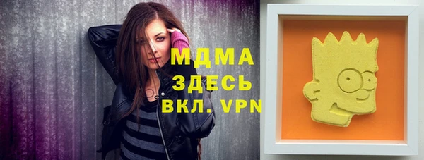 индика Гусиноозёрск