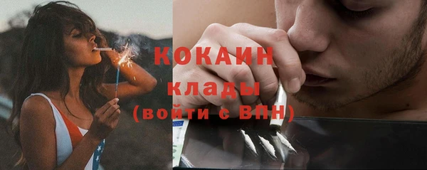 индика Гусиноозёрск