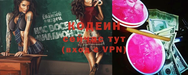 индика Гусиноозёрск
