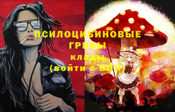 индика Гусиноозёрск