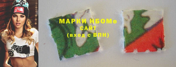 индика Гусиноозёрск